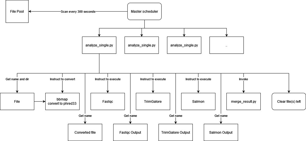 analysis stages